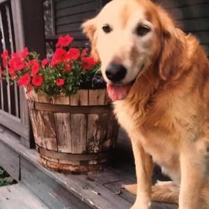 Meet your Posher, Trisha